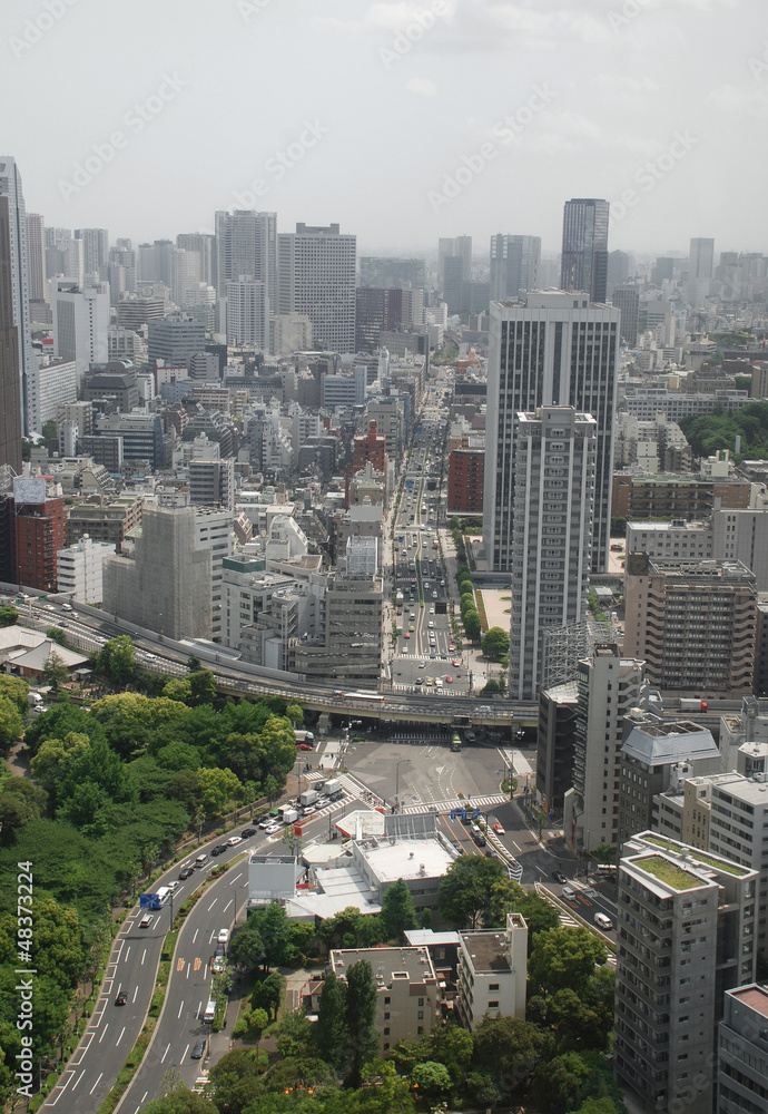 Fototapeta premium Tokyo Tower View