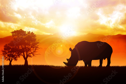 Silhouette illustration of a rhino © rudall30