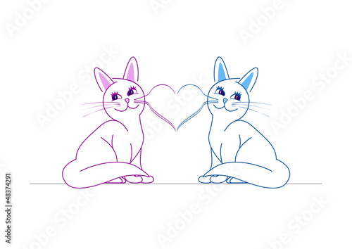 Chats amoureux - moustaches en coeur - Saint Valentin