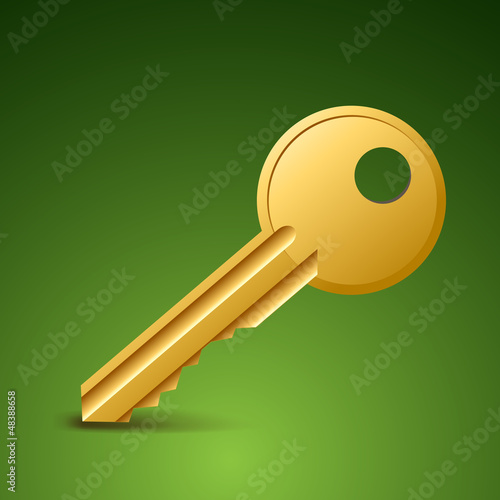 Key icon