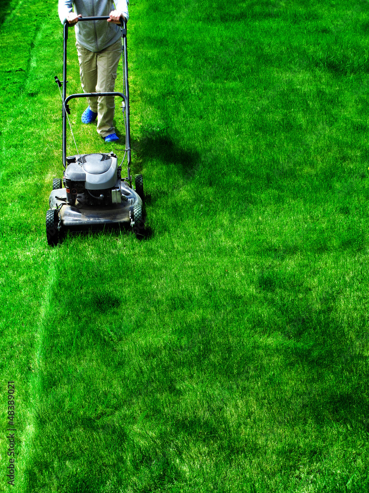 Fototapeta premium Mowing Lawn Grass