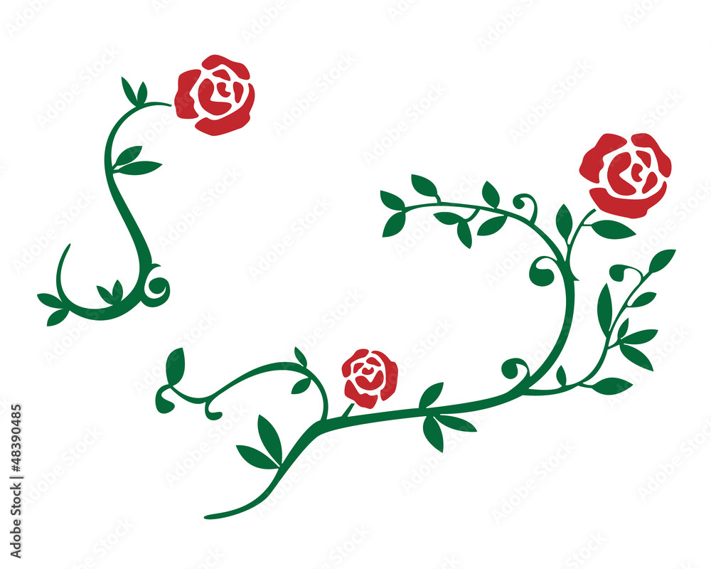 Rosenranke Stock-Vektorgrafik | Adobe Stock