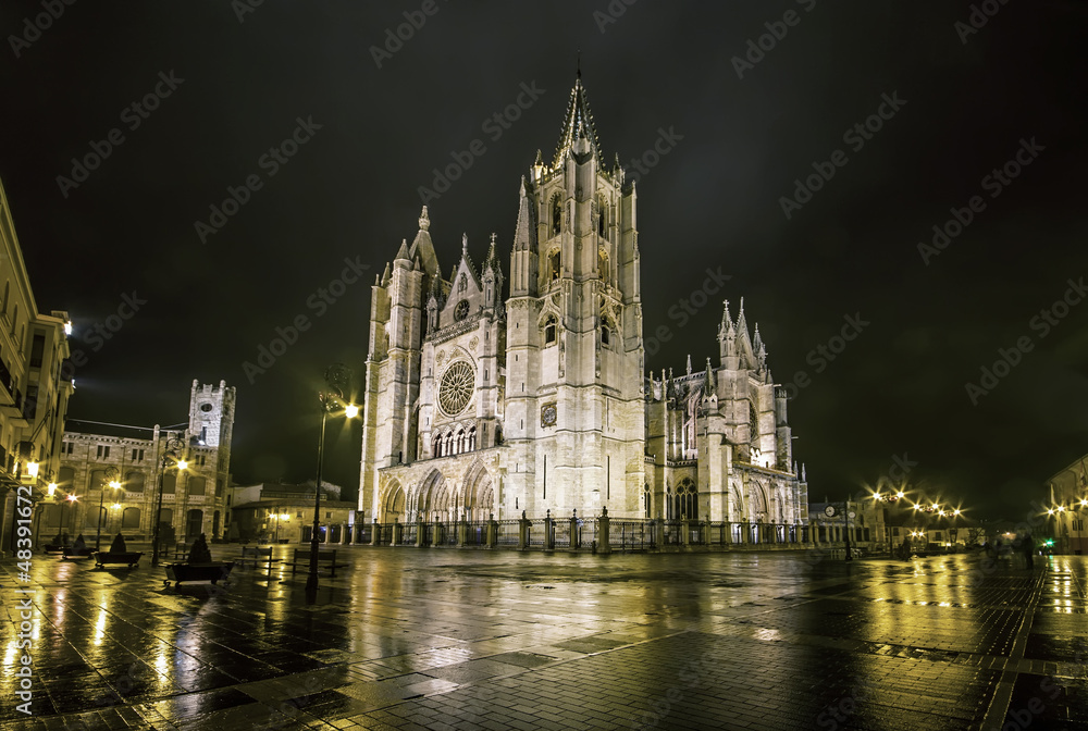Night shot of the Cathedral of Leon in a foggy day, Castilla y L