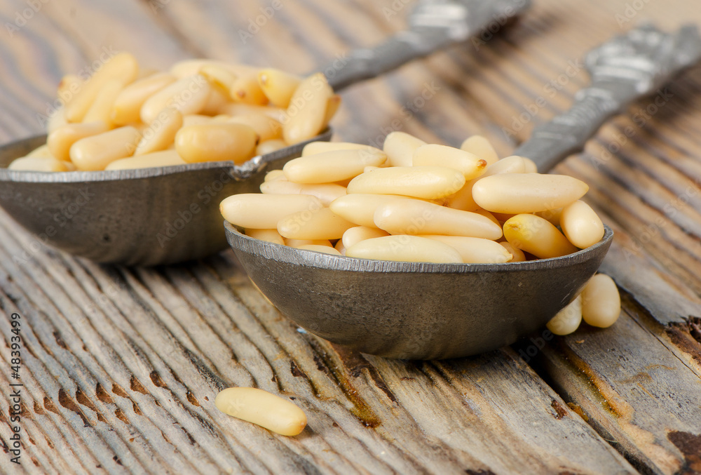 Cedar Pine nuts Cedar Pine nuts