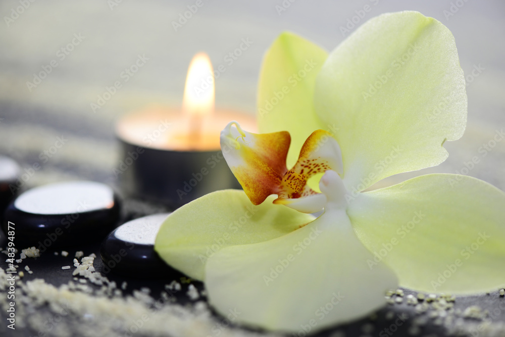 Massage,Wellness Massage,Wellness