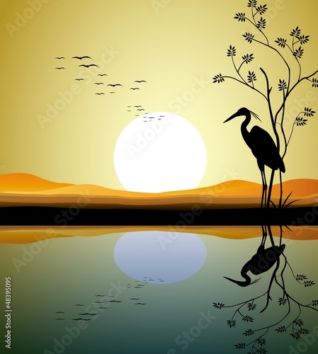 Obraz na plátně heron silhouette on lake