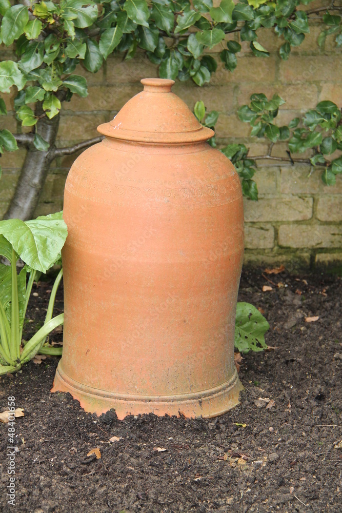 A Terracotta Pot for Force Growing Rhubard Plants. A Terracotta Pot for Force Growing Rhubard Plants.