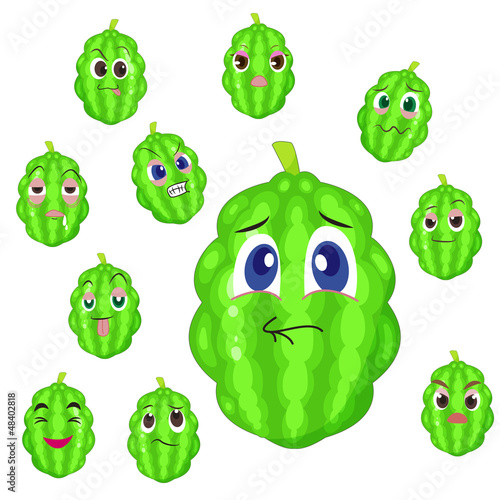 balsam apple cartoon with many expressions