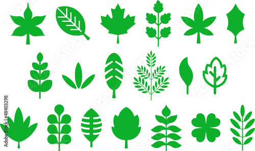 Set of vectorized leafs