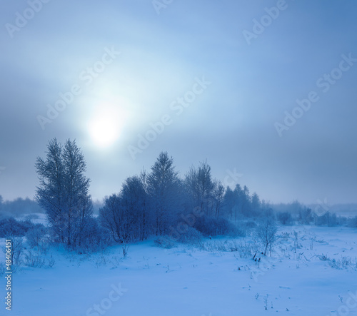 Winter landscape. Cold winter evening © gornist