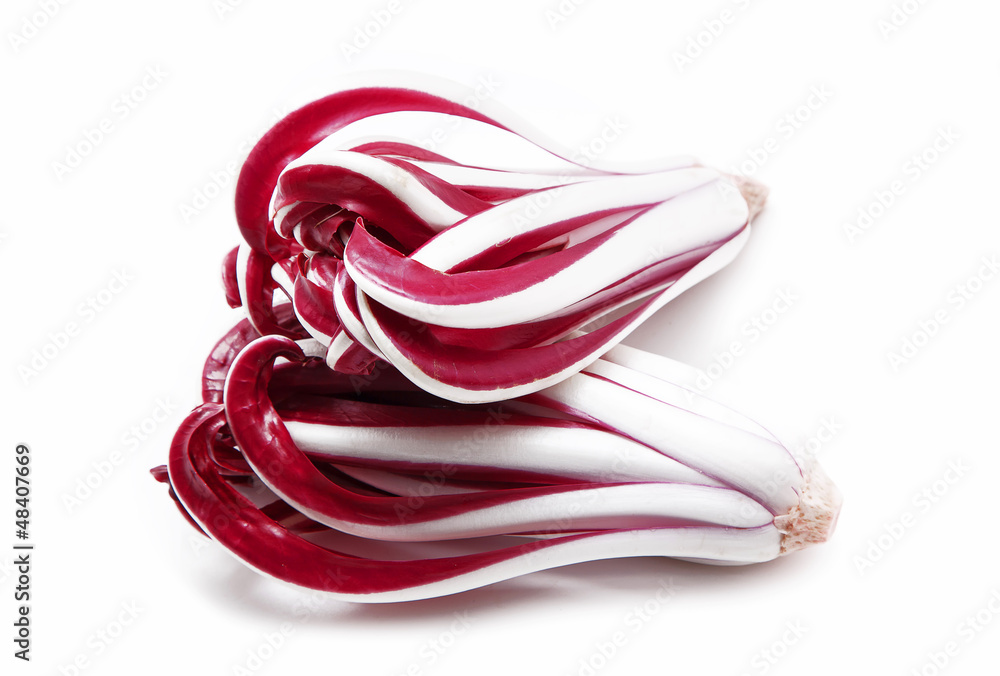 Radicchio tardivo rosso