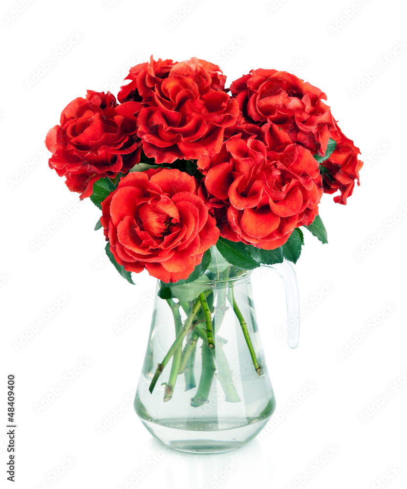 Huge bunch of red roses flowers in jug isolated on white Huge bunch of red roses flowers in jug isolated on white