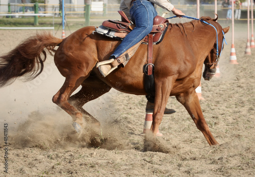 Horse and rider detail during a Pole Bending training