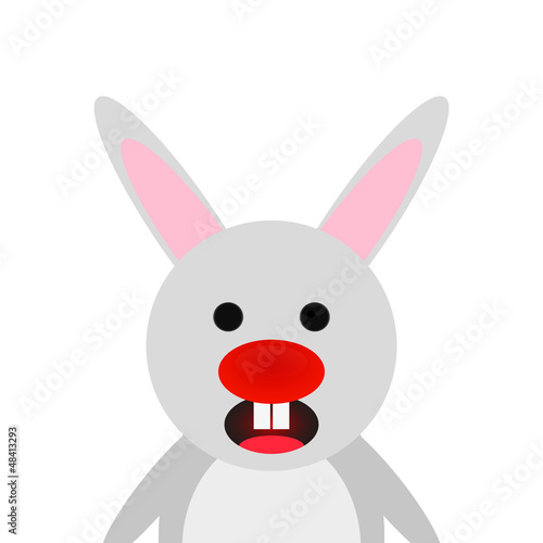 rabbit