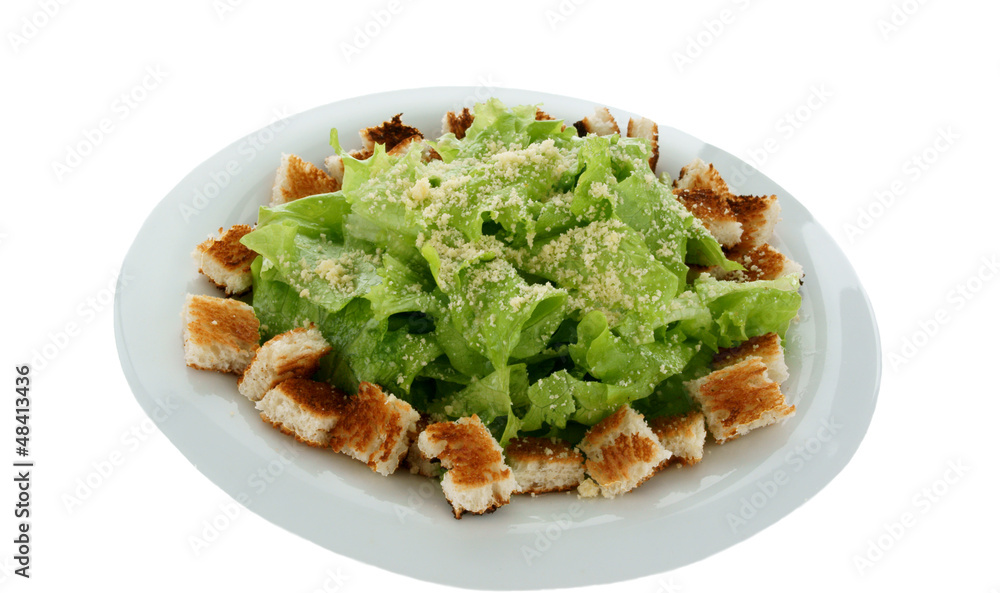 caesar salad caesar salad