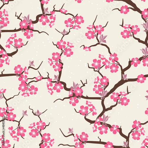 Tapety Wzór kwiaty wiśni bez szwu.