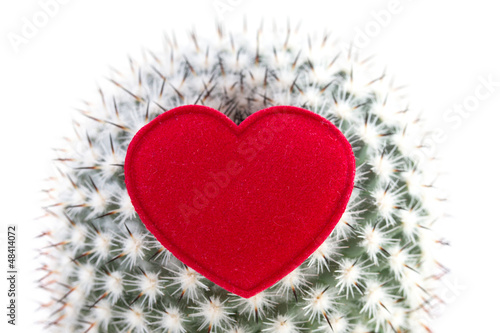 heart on cactus