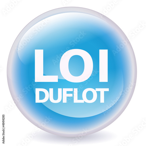 Boule de cristal Loi Duflot (ombre)