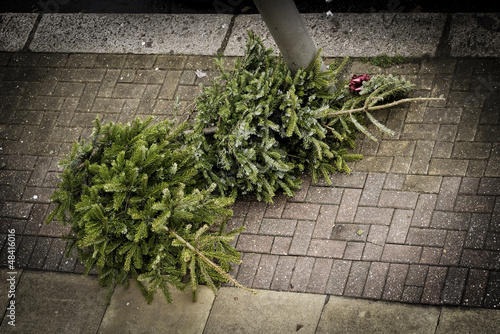 Two Christmas trees on the pavement