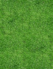 grass background