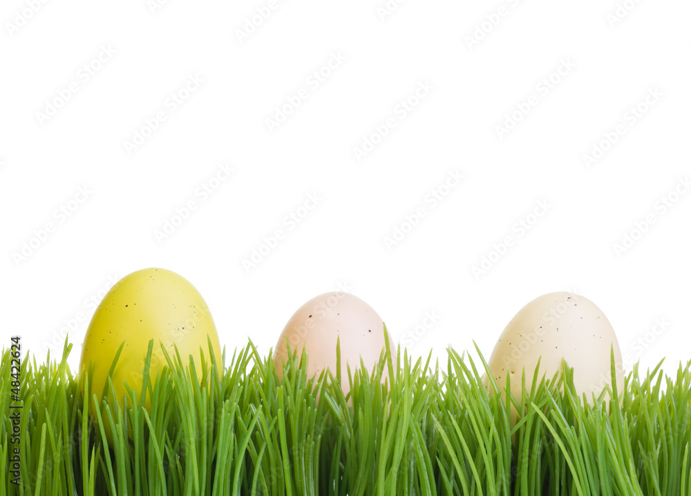 Three colorful eggs on green grass
