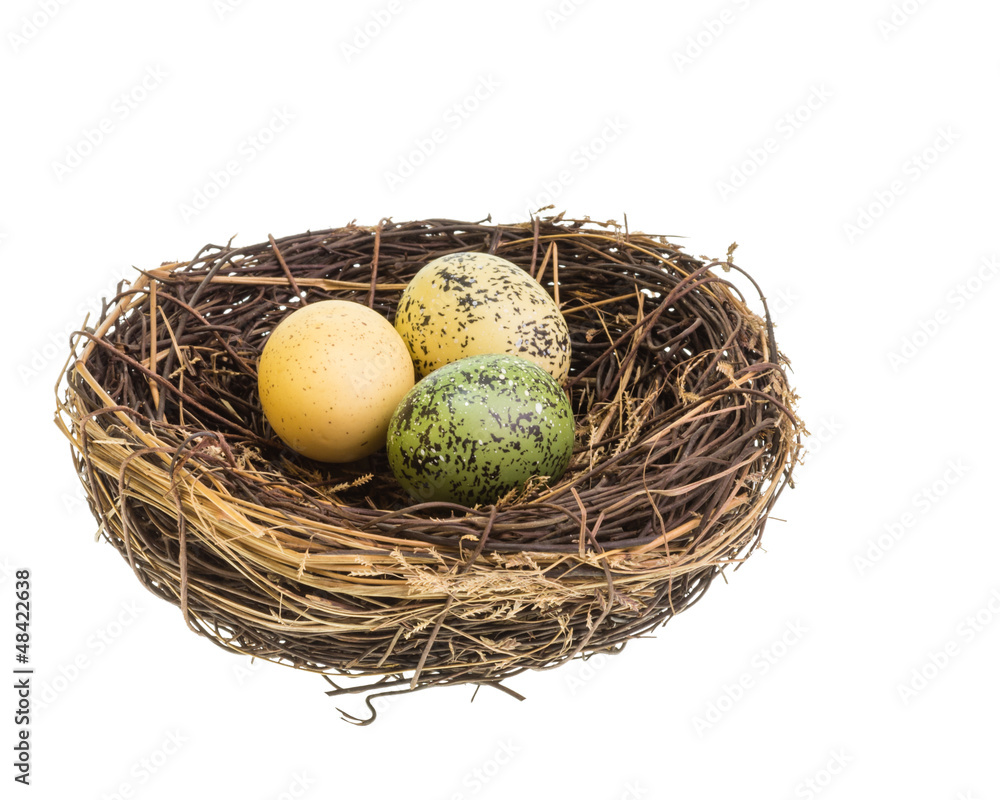 Bird nest with eggs isolated on white