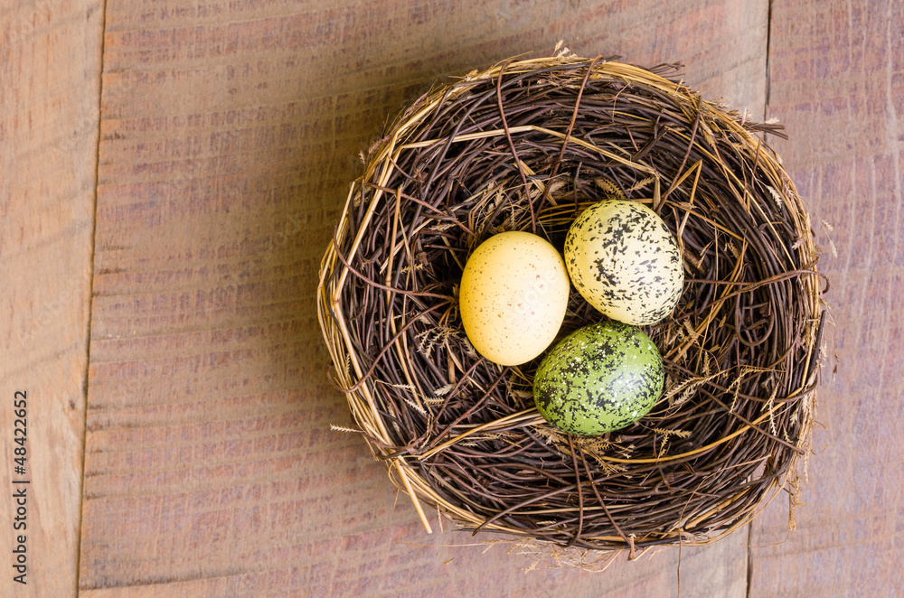 Birds nest with three eggs