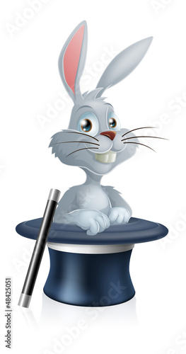 White rabbit and magic hat