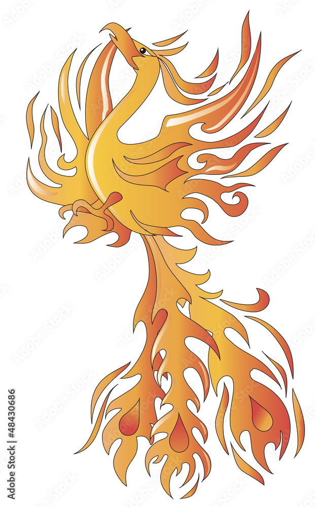 Fototapeta premium Phoenix bird