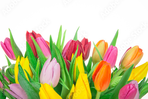 Fototapeta Naklejka Na Ścianę i Meble -  Tulips background