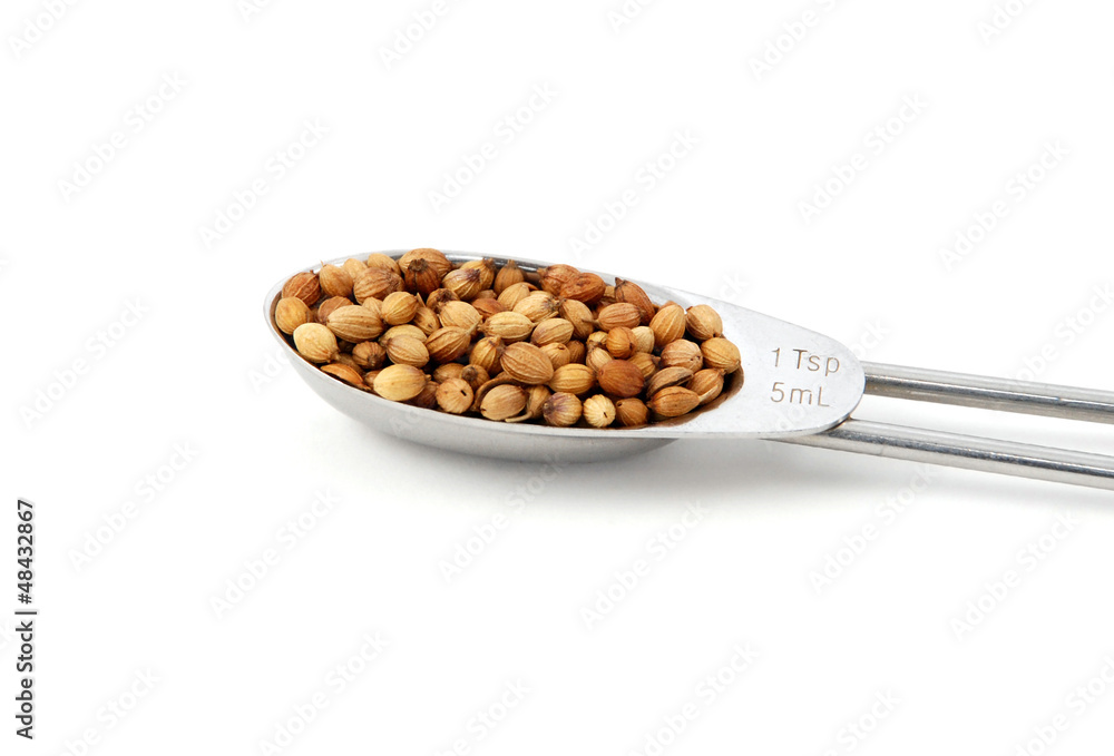 Whole coriander or cilantro seeds measured in a metal teaspoon,
