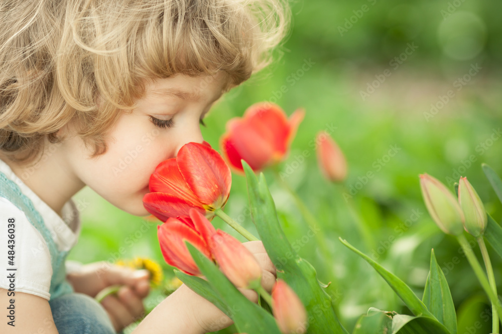 Child smelling tulip - obrazy, fototapety, plakaty 