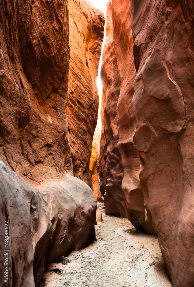 Obraz premium dry fork slot canyon