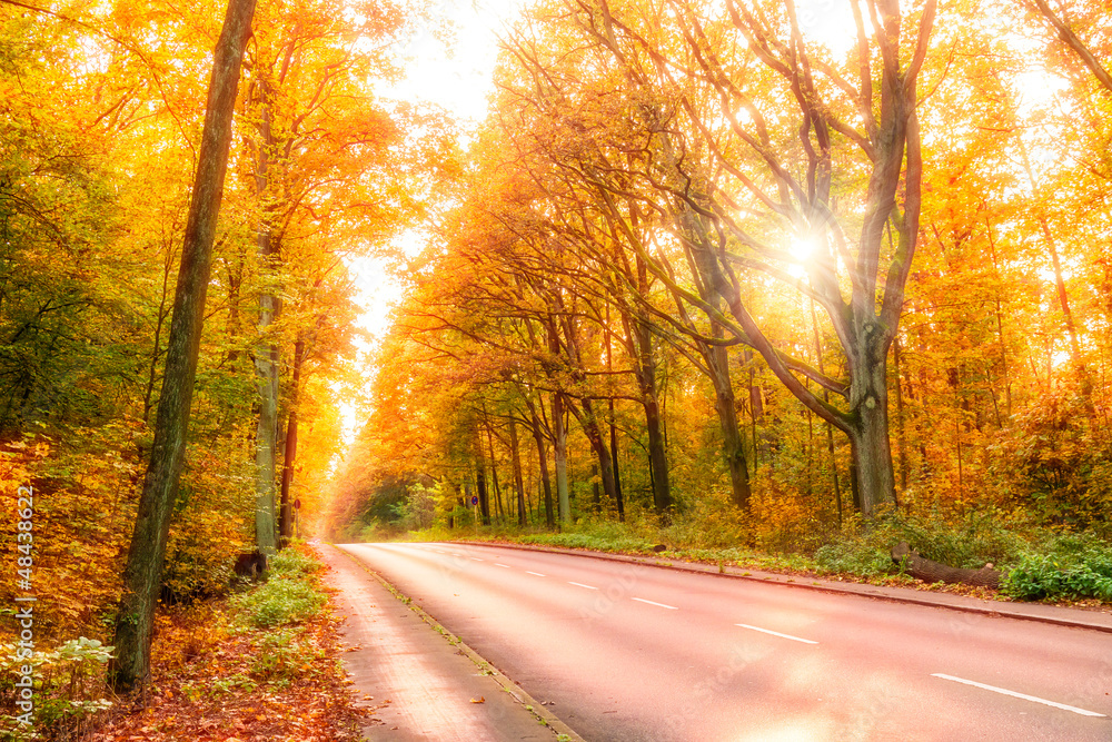 Obraz premium herbststraße