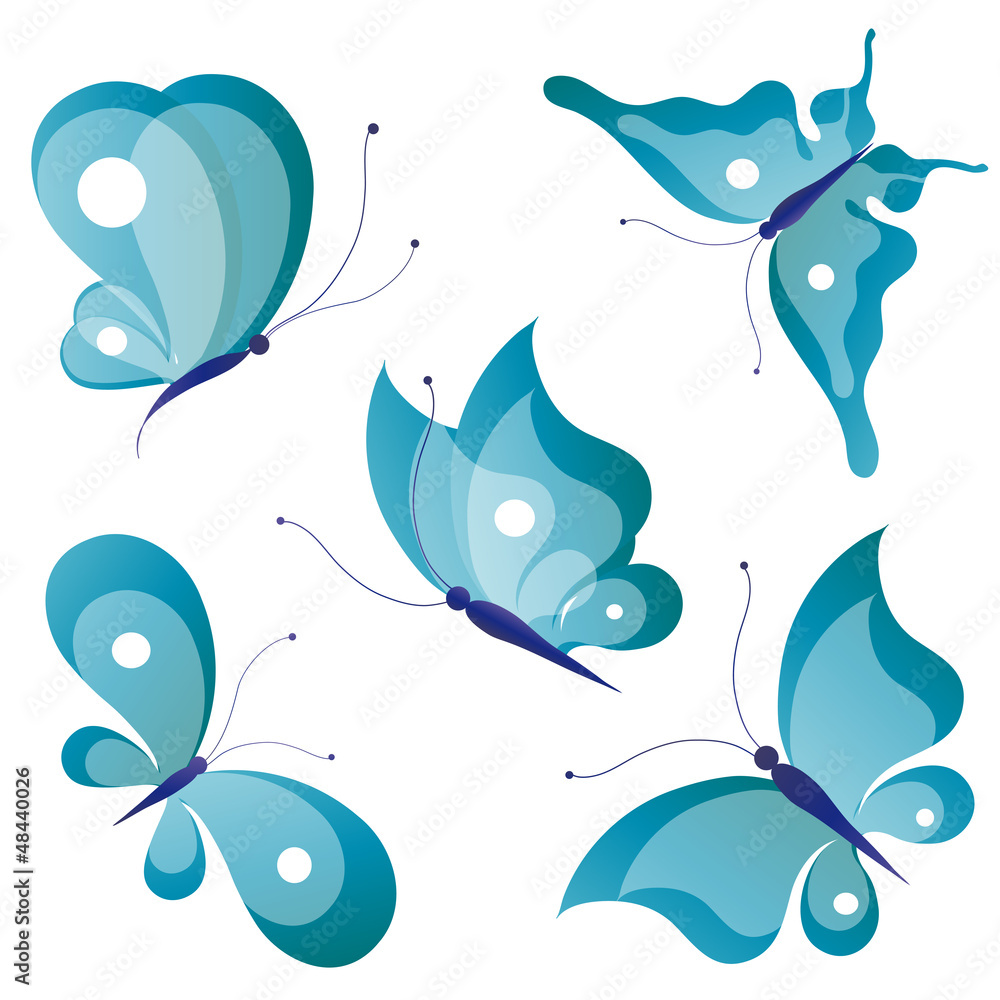 butterfly,butterflies butterfly,butterflies