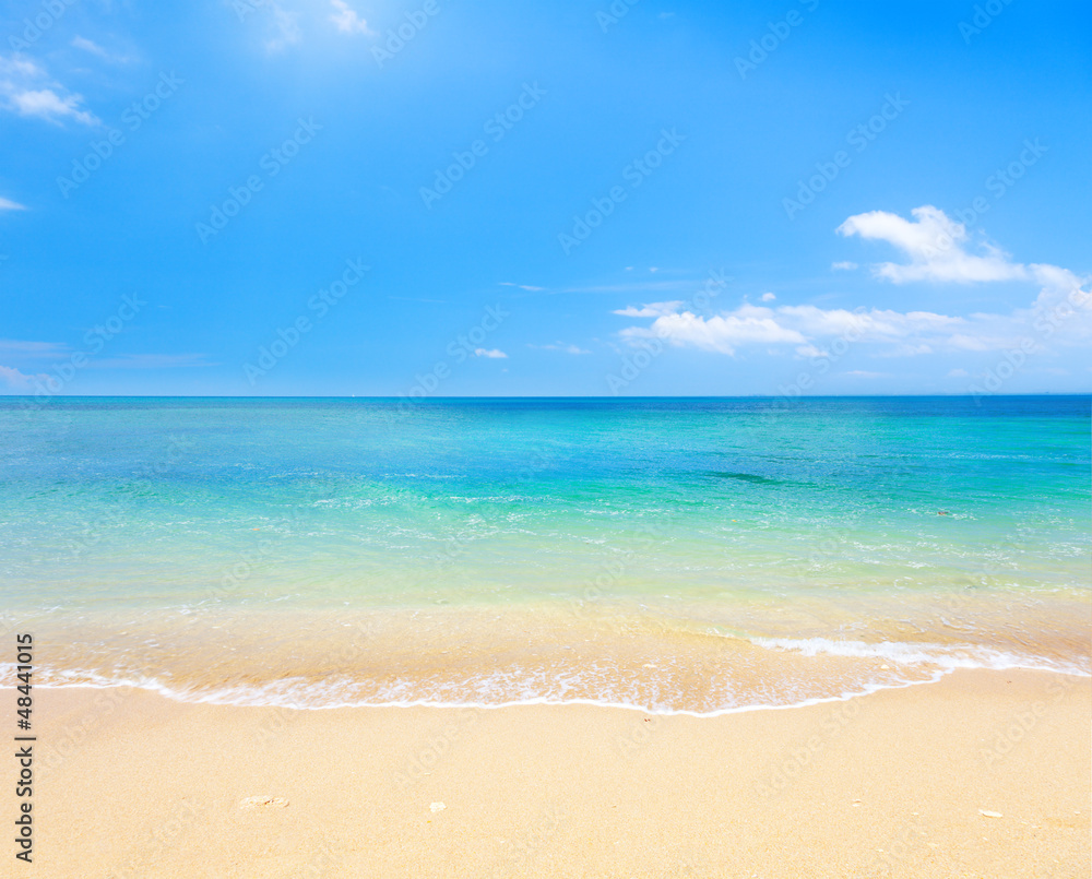 Naklejka premium plaża i tropikalne morze