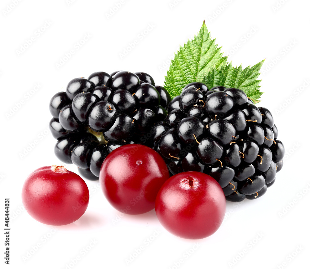 Blackberry with cranberry Blackberry with cranberry