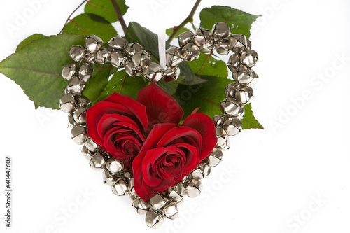 Two Roses #2