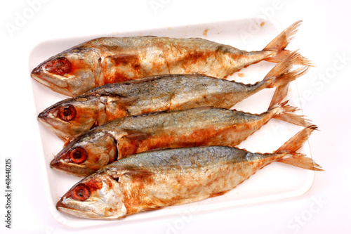 salted mackerel fishs on white background