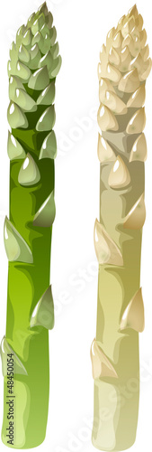 asparagus