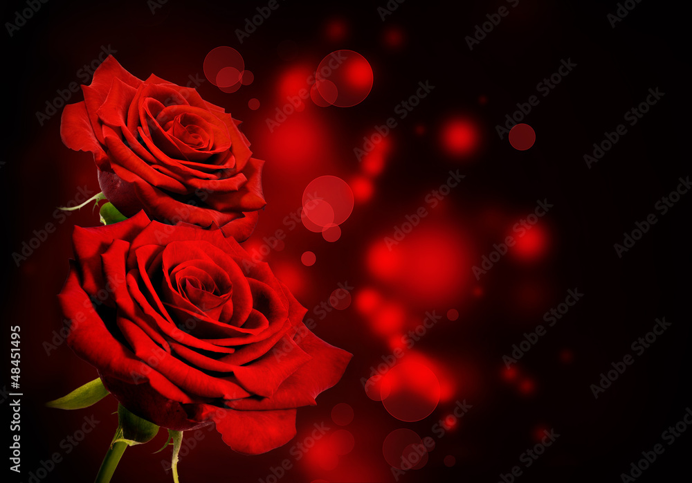 Red roses Valentine background - obrazy, fototapety, plakaty 