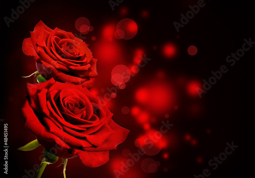 Red roses Valentine background © gtranquillity