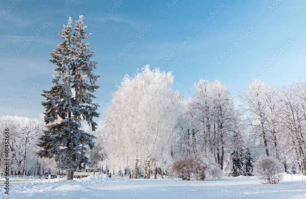 Urban winter landscape. Yaroslavl, Russia Urban winter landscape. Yaroslavl, Russia