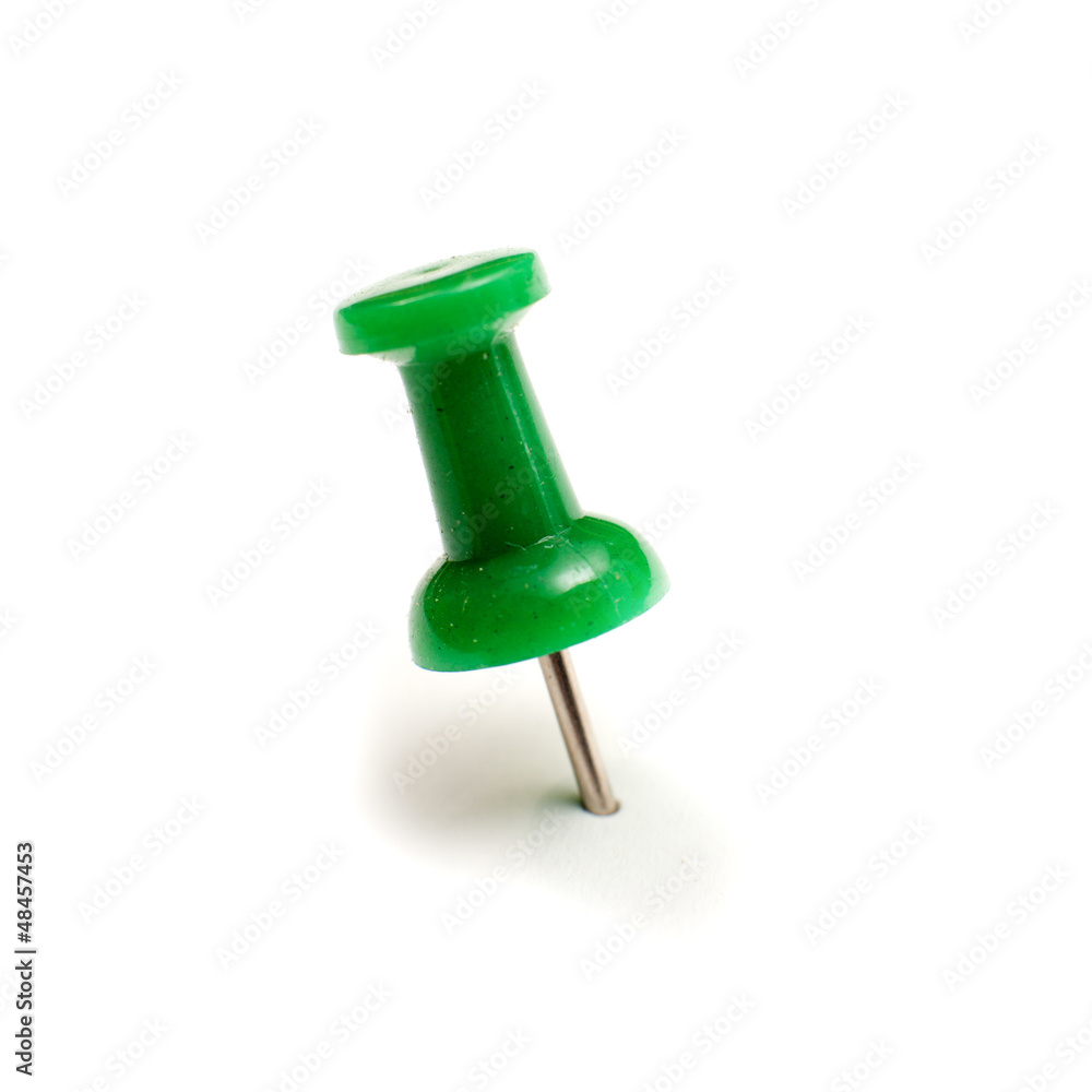 punaise verte punaise verte