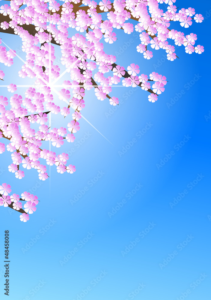 Kirschblüten im Sonnenlicht Hochformat