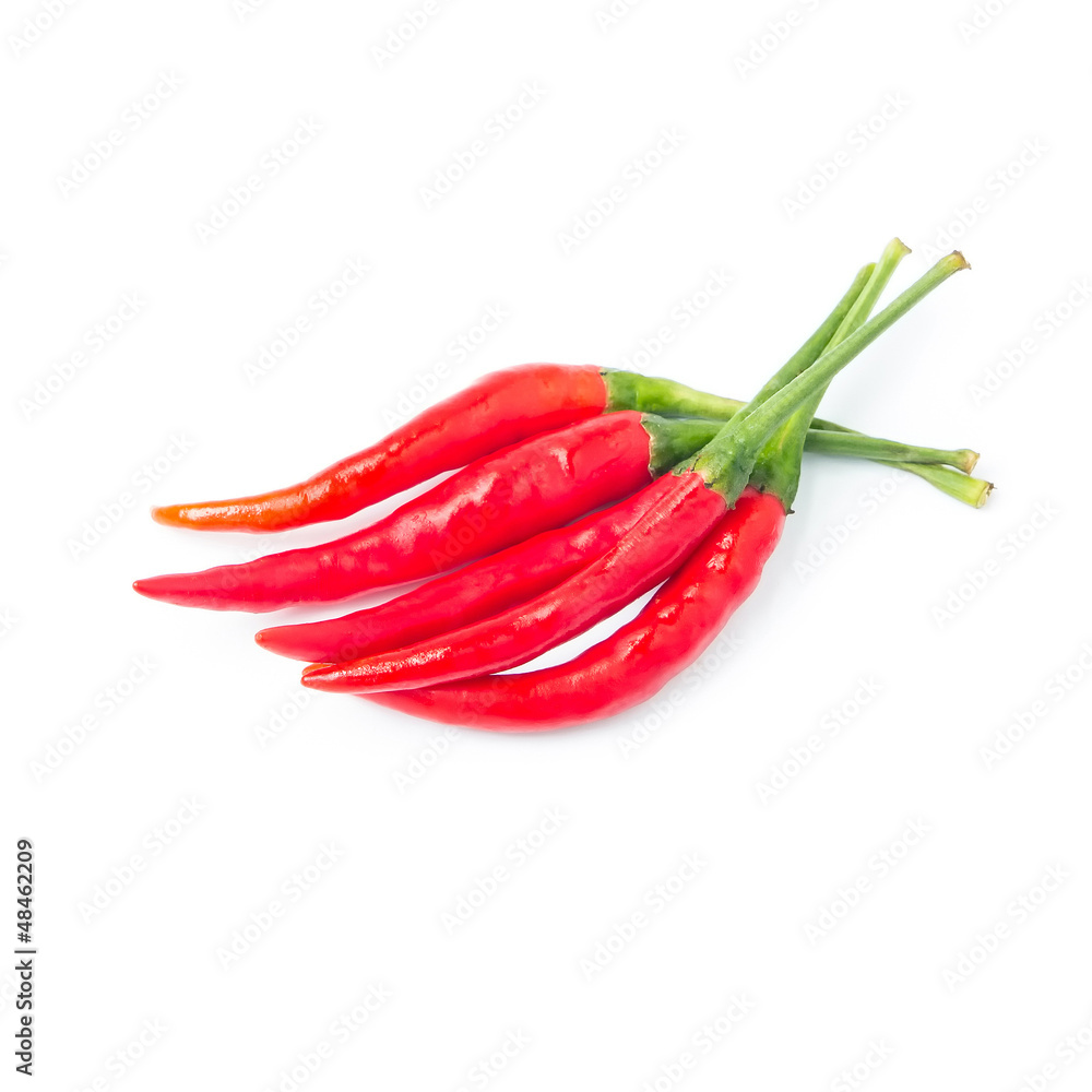Hot red chili or chilli pepper isolated on white background