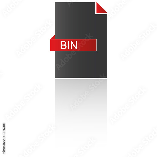 Dateityp BIN