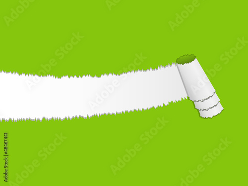 abgerissenes blatt grün