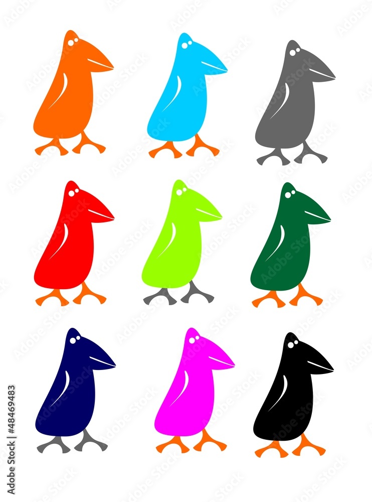 Naklejka premium colorful birds