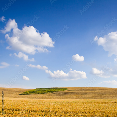 Polish countryside landscape